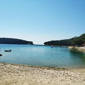 https://apartments-goga-mali-losinj.primorje-gorskikotar.com